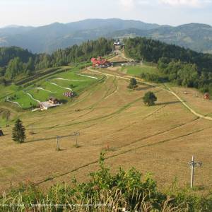 Palenica (722 m n.p.m) - palenica stacja gorna img 0421