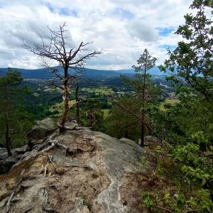 Bukowe Skały w Górach Sokolich - bukowe skaly w gorach sokolich 9