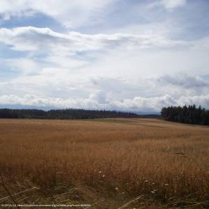 Pogórze Izerskie - pogorze izerskie maciejowiec