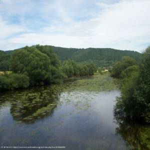 Dolina Bobru - pilchowice bobr park krajobrazowy doliny bobru