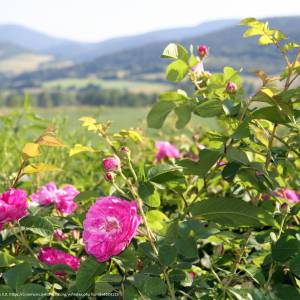 Kotlina Kłodzka - kotlina klodzka