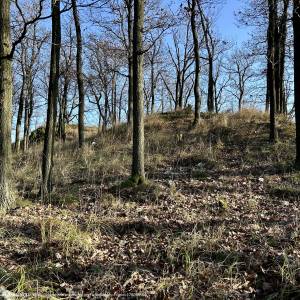 Masyw Ślęży - masyw slezy 1