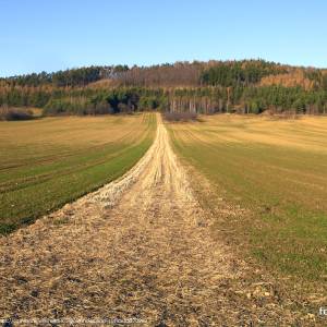 Masyw Ślęży - masyw slezy 11