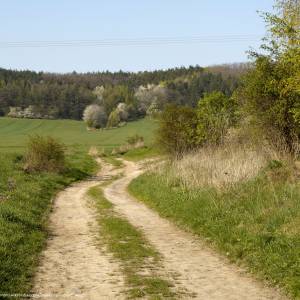 Masyw Ślęży - masyw slezy 12