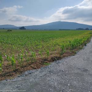 Masyw Ślęży - masyw slezy 4