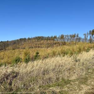 Masyw Ślęży - masyw slezy 5