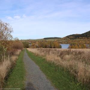 Brama Lubawska - brama lubawska miszkowice