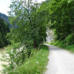 Szlak rowerowy Krościenko nad Dunajcem-Czerwony Klasztor - drogapieninska skalkiidunajec svk pieniny