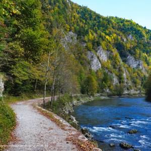 Szlak rowerowy Krościenko nad Dunajcem-Czerwony Klasztor - drogapieninska srodkowyodcinek1 svk pieniny