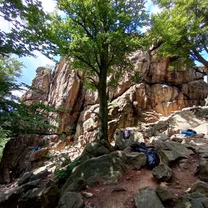 Skałki wspinaczkowe w Górach Sokolich - skalki wspinaczkowe w gorach sokolich 8