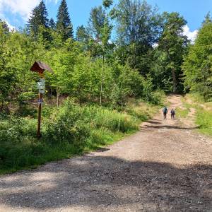 Rozdroże pod Trzema Koronami - rozdroze pod trzema koronami 7