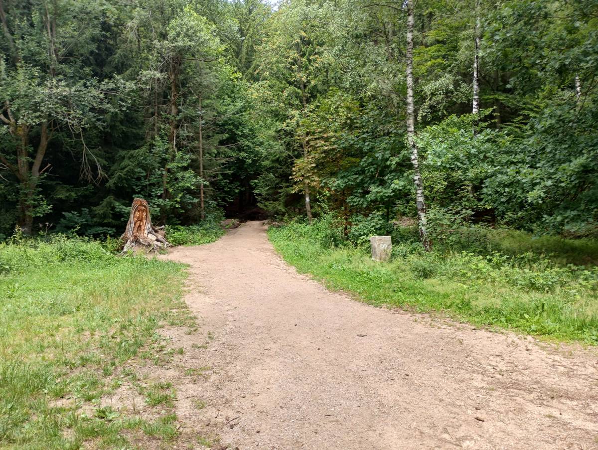 Rozdroże Przełączka - rozdroze przelaczka 3