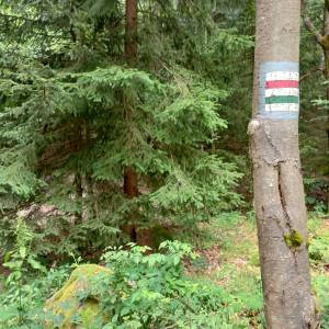 Rozdroże Przełączka - rozdroze przelaczka 1