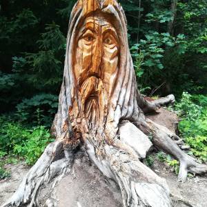 Rozdroże Przełączka - rozdroze przelaczka 2