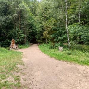 Rozdroże Przełączka - rozdroze przelaczka 3