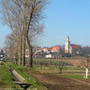 Starówka w Dobromierzu - starowka w dobromierzu 14