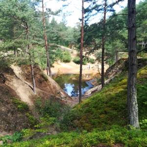 Purpurowe Jeziorko - img 20240708 112559