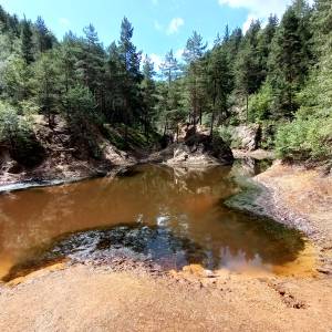 Purpurowe Jeziorko - purpurowe jeziorko 19