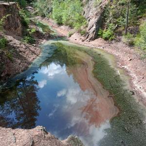 Purpurowe Jeziorko - purpurowe jeziorko 24