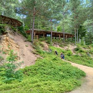 Purpurowe Jeziorko - purpurowe jeziorko 30