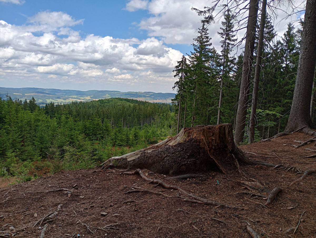 Panorama Rudaw Janowickich z punktu widokowego przy Zielonym Stawku.