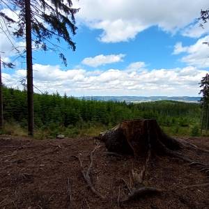 Zielony Stawek - punkt widokowy przy zielonym stawku 1