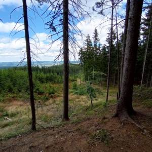 Zielony Stawek - punkt widokowy przy zielonym stawku 3