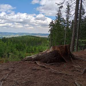 Zielony Stawek - punkt widokowy przy zielonym stawku 5