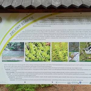 Zielony Stawek - zielony stawek 1