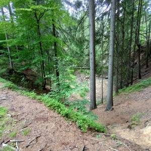 Zielony Stawek - zielony stawek 3