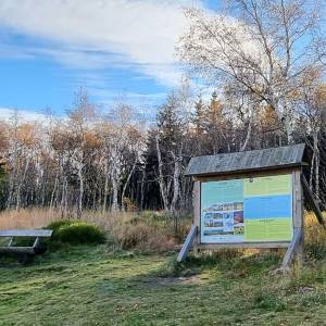 Rudnik (853 m n.p.m.) - punkt widokowy pod rudnikiem 9