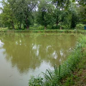 Park Rodzinny w Kowarach - park rodzinny w kowarach 9