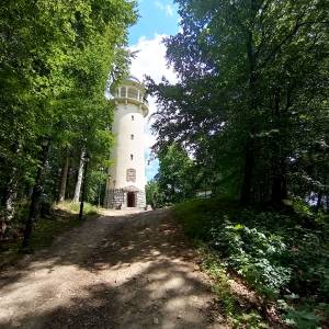 Wzgórze Krzywoustego - wzgorze krzywoustego 6