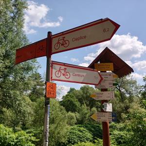 Parking pod Wzgórzem Krzywoustego - parking pod wzgorzem krzywoustego 16