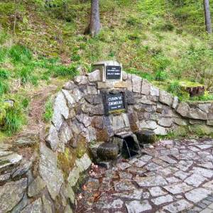 Cudowne Źródełko w Borowym Jarze - cudowne zrodelko w borowym jarze 2