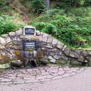 Cudowne Źródełko w Borowym Jarze - cudowne zrodelko w borowym jarze 3