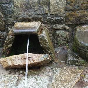 Cudowne Źródełko w Borowym Jarze - cudowne zrodelko w borowym jarze 4