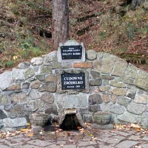 Cudowne Źródełko w Borowym Jarze - cudowne zrodelko w borowym jarze 5