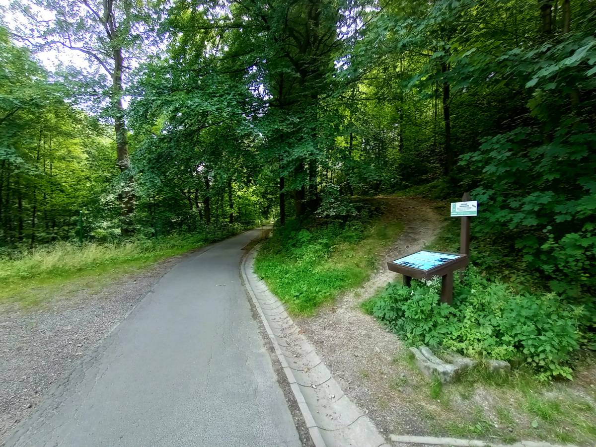 Ściekżka odbijająca w górę od żółtego szlaku prowadząca do źródła Hipokrene