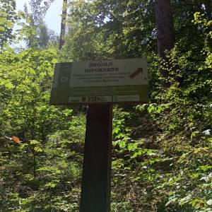 Źródło Hipokrene w Borowym Jarze - zrodlo hipokrene w borowym jarze 2