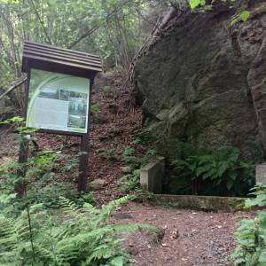 Źródło Hipokrene w Borowym Jarze - zrodlo hipokrene w borowym jarze 7