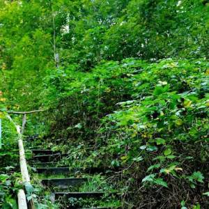 Punkt widokowy Trafalgar - punkt widokowy trafalgar 4