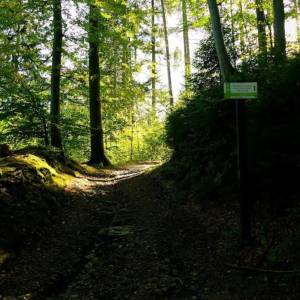 Ścieżka Poetów w Dolinie Bobru - sciezka poetow w dolinie bobru 1