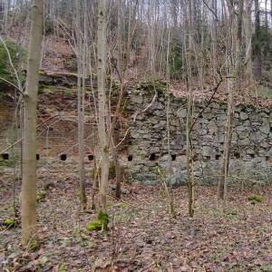 Ruiny papierni w Borowym Jarze - ruiny papierni w borowym jarze