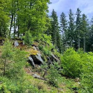 Punkt widokowy Progi - punkt widokowy progi 7