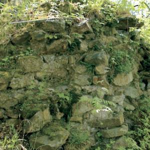 Zamczysko w Borowym Jarze - zamczysko w borowym jarze