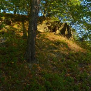 Zamczysko w Borowym Jarze - zamczysko w borowym jarze z 1