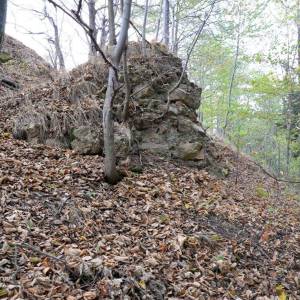 Zamek na Kozińcu - zamek na kozincu 10