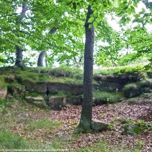 Zamek na Kozińcu - zamek na kozincu 8