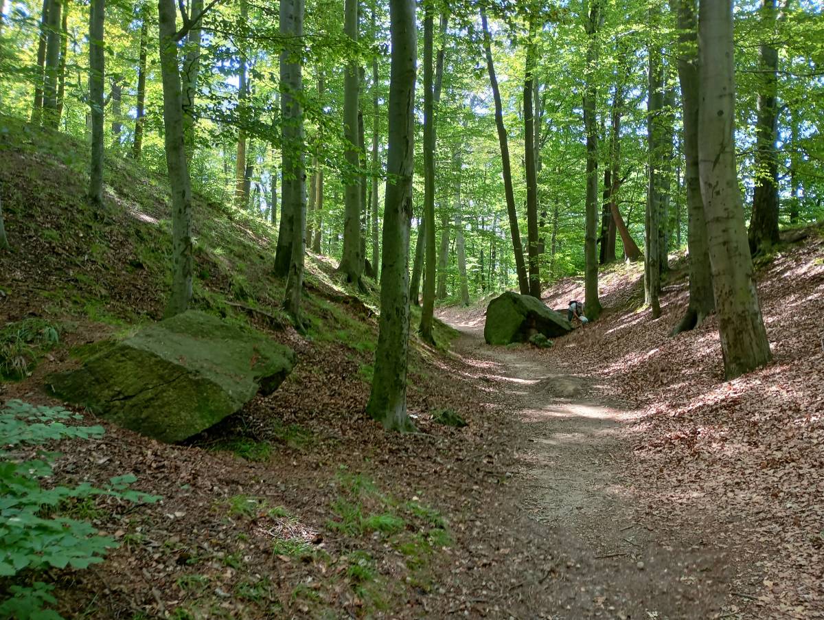 Zamek na Wzgórzu Krzywoustego - zamek na wzgorzu krzywoustego 6